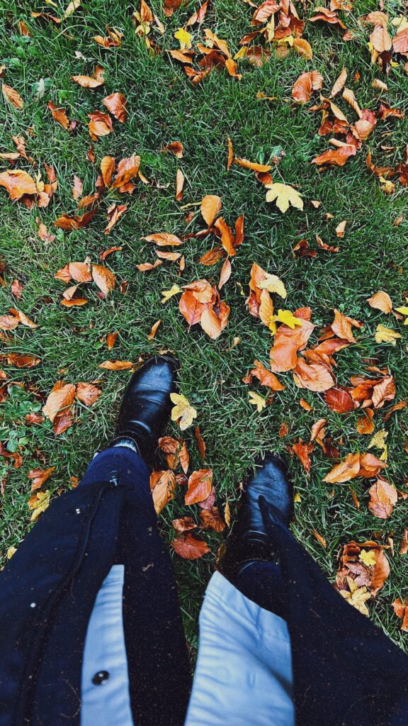 WhatsApp Image 2026-02-08 at 02.33.33