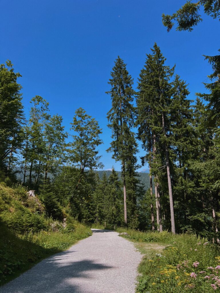 WhatsApp Image 2026-02-08 at 02.34.16